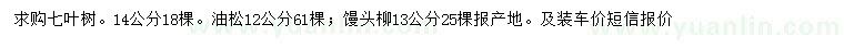 求购七叶树、油松、馒头柳