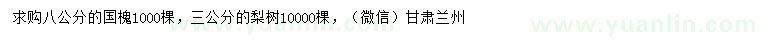 求购8公分国槐、3公分梨树