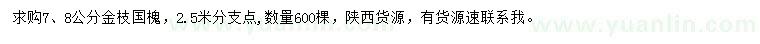 求购7、8公分金枝国槐