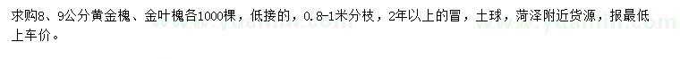 求购8、9公分黄金槐、金叶槐