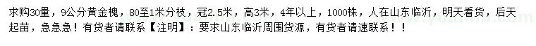 求购30量9公分黄金槐