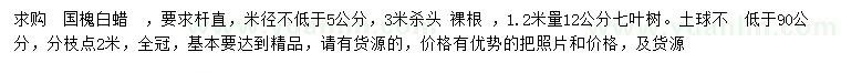 求购国槐、白蜡、七叶树