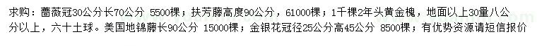 求购蔷薇、扶芳藤、黄金槐等