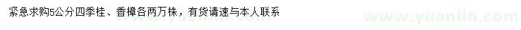 求购5公分四季桂、香樟