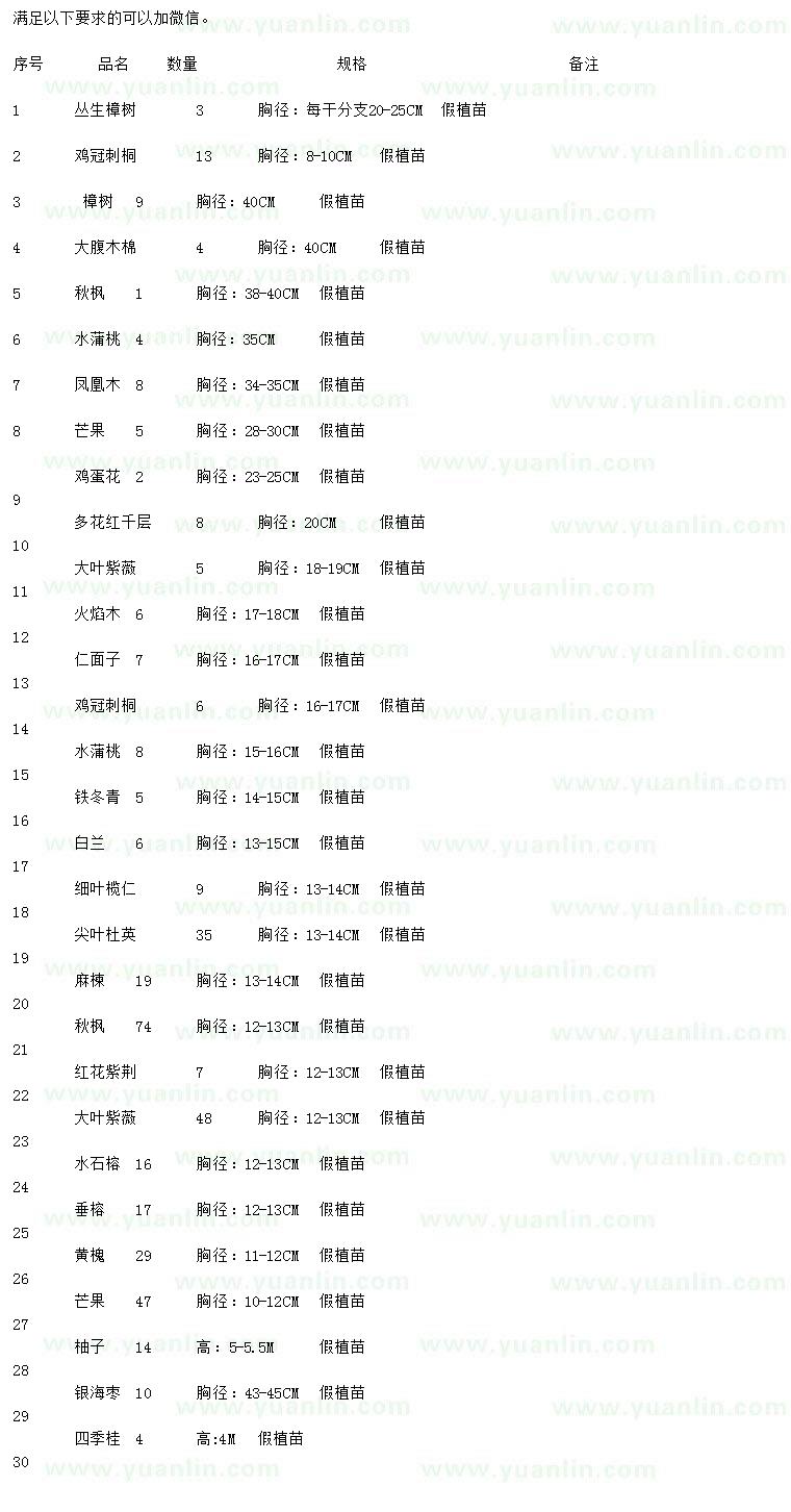 求购丛生樟树、鸡冠刺桐、樟树等