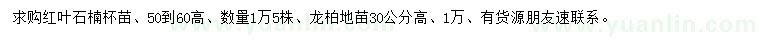 求购高50-60公分红叶石楠、30公分龙柏