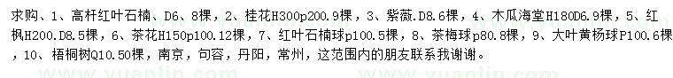 求购高杆红叶石楠、桂花、紫薇等