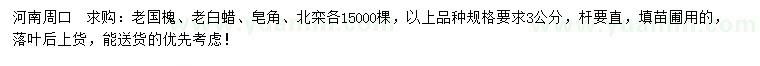 求购老国槐、老白蜡、皂角等