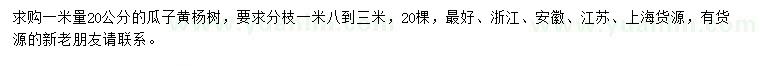 求购米径20公分瓜子黄杨