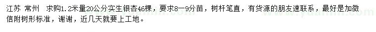 求购1.2米量20公分银杏