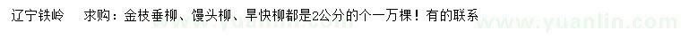 求购金枝垂柳、馒头柳、旱快柳