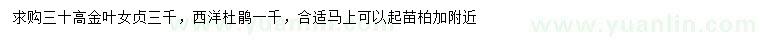 求购高30公分金叶女贞、西洋杜鹃