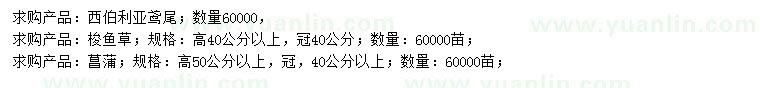 求购西伯利亚鸢尾、梭鱼草、菖蒲