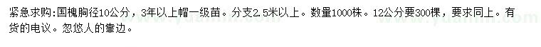 求购胸径10、12公分国槐