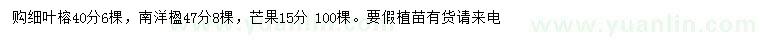 求购细叶榕、南洋楹、芒果树等