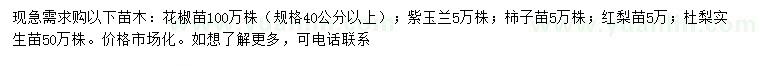 求购花椒苗、紫玉兰、柿子树苗等