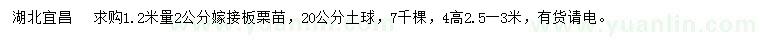 求购1.2米量2公分嫁接板栗苗