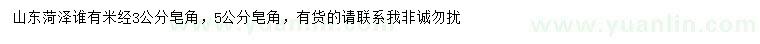 求购米径3、5公分皂角