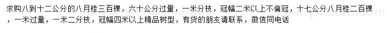 求购60以上量8-12公分、1米以上量17公分八月桂