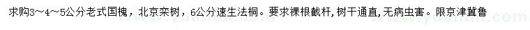 求购老式国槐、北栾、速生法桐