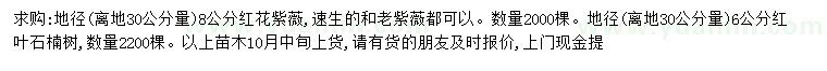 求购30量8公分红花紫薇、6公分红叶石楠