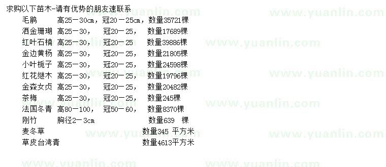 求购毛鹃、洒金珊瑚、红叶石楠等