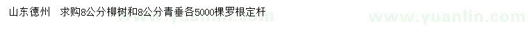 求购8公分柳树、青垂柳