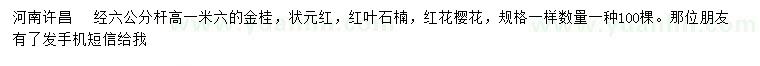 求购金桂、状元红荔枝树、红叶石楠等