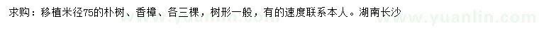 求购米径75公分朴树、香樟