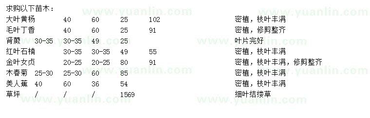 求购大叶黄杨、毛叶丁香、肾蕨等