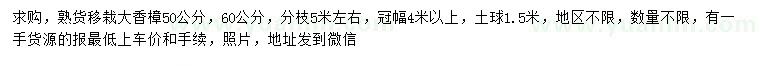 求购50、60公分大香樟