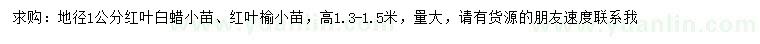 求购红叶白蜡小苗、红叶榆小苗