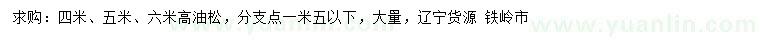 求购高4、5、6米油松