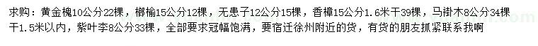 求购黄金槐、榔榆、无患子等