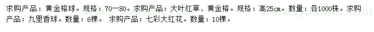 求购黄金榕球、大叶红草、黄金榕等