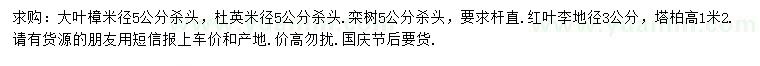 求购大叶樟、杜英、栾树等