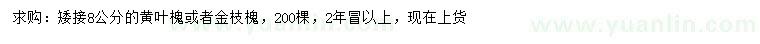 求购8公分黄叶槐、金枝槐