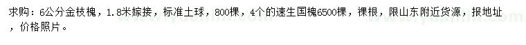 求购6公分金枝槐、4公分速生国槐