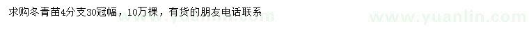 求购冠幅30公分冬青