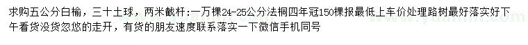 求购5公分白榆、24-25公分法桐