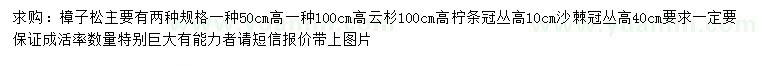 求购樟子松、云杉、柠条等