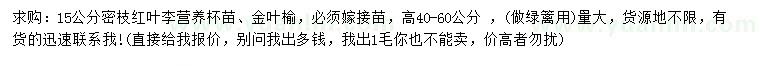 求购高40-60公分密枝红叶李、金叶榆