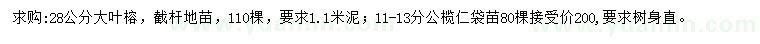 求购28公分大叶榕、11-13分公榄仁