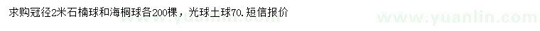 求购冠幅2米石楠球、海桐球