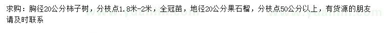 求购胸径20公分柿子树、地径20公分果石榴