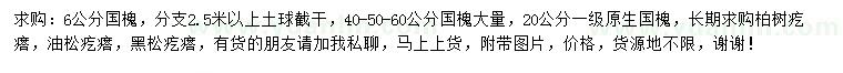 求购国槐、柏树、油松等