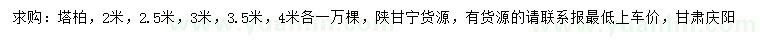 求购2、2.5、3、3.5、4米塔柏