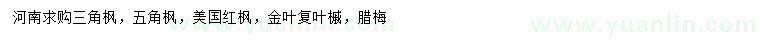 求购三角枫、五角枫、美国红枫等