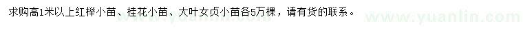 求购红榉小苗、桂花小苗、大叶女贞小苗