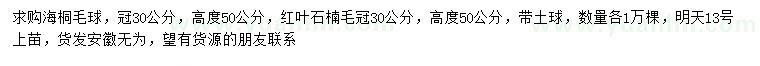 求购冠幅30公分海桐毛球、红叶石楠球